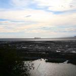 Turnagain Arm from Tony Knowles Coastal Trail during 12-mile bike ride