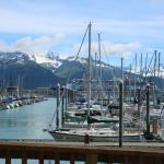 Seward small boat harbor with Holland-American cruise ship MS Zaandam in background