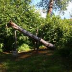 Beaver trap used by early settlers
