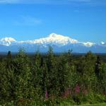Early morning view of Denali from Talkeetna Alaskan Lodge deck
