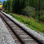 Passing train on Alaska Railroad line between Talkeetna and Denali