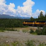 Alaska Railroad Denali train rounds curve on the way to Denali