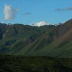 Denali as seen over the top of nearer hills in Denali National Park