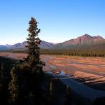 Denali National Park from tour bus