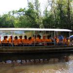Dr. Wagner's Honey Island swamp tour, Pearl River at Slidell, Louisiana