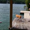 Molly watches Sam operate  RC powerboat from dock