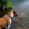 Molly at edge of Lake Burton
