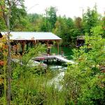 Gignilliats' boat dock from outside porch area, August 29, 2015