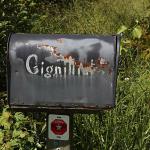 Distinctive, old "Gignilliat" mailbox soon to be replaced by a new one of the same design
