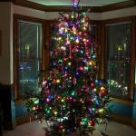 Our 2014 Christmas tree