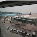 Delta Airbus 350 from Seoul to Atlanta