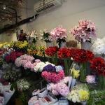 Flower Market