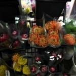 Flower Market