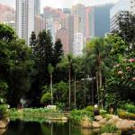 View from Kong Kong Park of tall apartment buildings built on steep terrain of Hong Kong Island