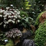 Hong Kong Park