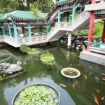 Wong Tai Sin Temple koi pond