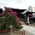 Chi Lin Nunnery