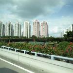 Apartment towers in Shenzhen