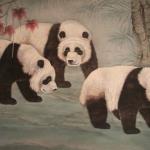 Exhibit of paintings of pandas on display in Macau