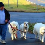 Edward with Joey, Nevaeh and Max