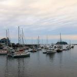 Camden, Maine harbor on July 4th,  2015