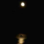Moon rises over Clam Cove and Penobscot Bay as seen from room balcony at Ledges by the Bay hotel at Rockport, Maine
