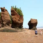 Flower pots as seen from the temporary shore of Bay of Fundy, site of highest tides in the world at 45 feet
