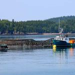 Atlantic salmon farm at St. Andrews by the Sea, New Brunswick