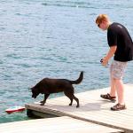 Millie enjoys chasing Sam's remote control speedboat