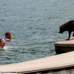 Julia and Tom try to entice Millie to jump in the lake