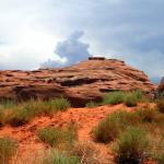 Beauty of desert in Monument Valley
