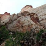 Rock formations along Scenic Drive in Capitol Reef National Park