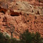 Pocked rock wall along Scenic Drive in Capitol Reef National Park