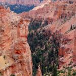 Black Birch Canyon at Bryce Canyon NP