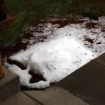 Hail at Bryce Canyon Lodge