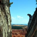 Bryce Point in Bryce Canyon NP