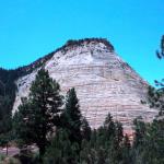 Checkerboard Mesa in Zion NP