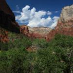Beautiful gorge on Zion NP trail to Lower Emerald Pool