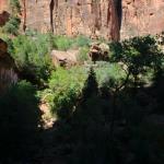 Lower Emerald Pool in Zion NP