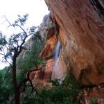 Waterfall over the Zion NP trail to Lower Emerald Pool