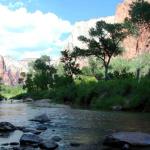 North Fork of the Virgin River near Zion NP Lodge
