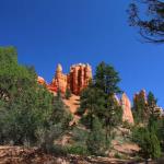 Hoodoos from ground level along Mossy Cave trail in Bryce Canyon NP
