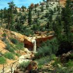 Waterfall along Mossy Cave trail in Bryce Canyon NP