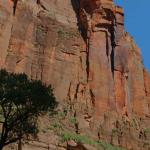 Riverside Walk area of Zion NP