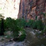 North Fork of Virgin River winds through narow gorge with slight rapids in Zion NP