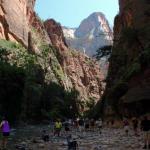 Beginning of narrows and end of Riverside Walk leaving the North Fork of the Virgin River as the only path beyond this point