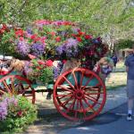 Sam in This is the Place Heritage Park with wagon decorated for Pioneer Days celebrating the arrival of the Mormons from Illinois