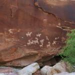 Petroglyphs in Arches NP near Moab